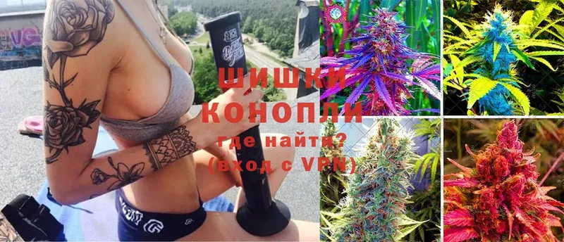 Продажа наркотиков Вяземский Бошки Шишки  АМФ  Героин  ГАШ  Cocaine  APVP 